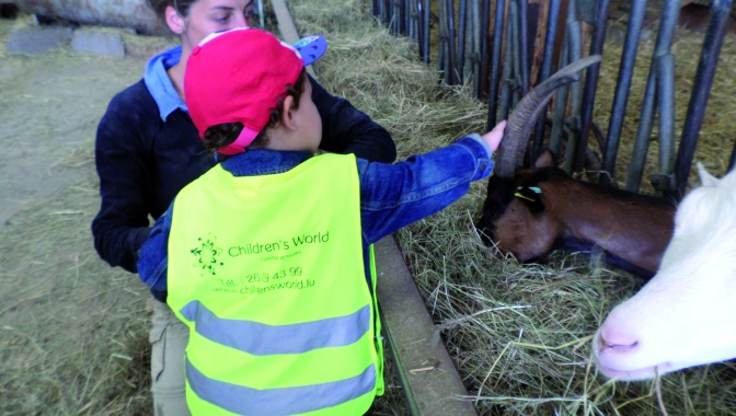 FERME